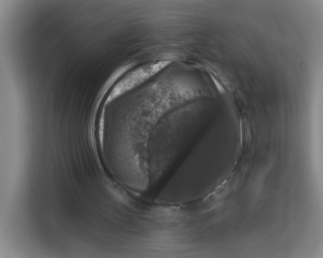 X0000113280147200910051047