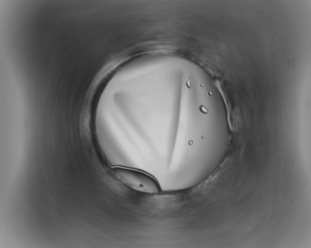 X0000113280150200910051047