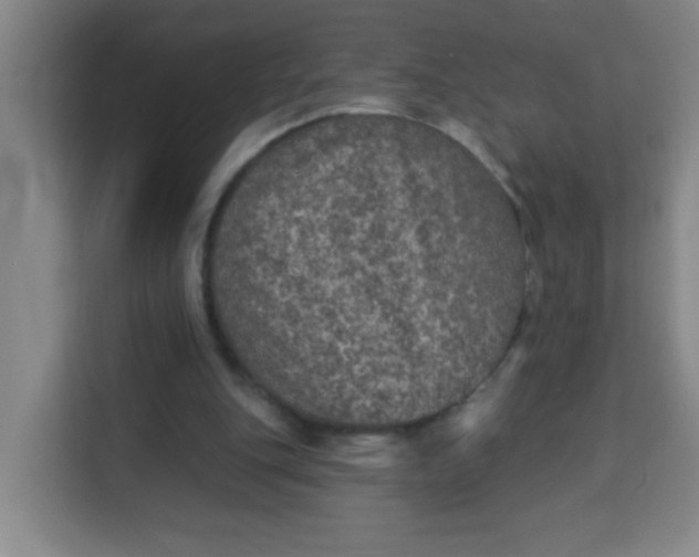 X0000113280151200910051047