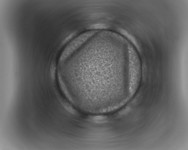 X0000113280153200910051047