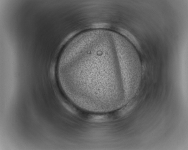 X0000113280155200910051047