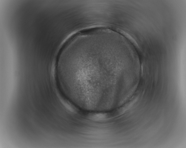 X0000113280156200910051047