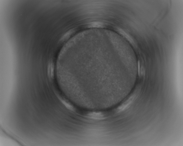 X0000113280157200910051047