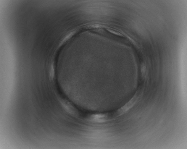 X0000113280158200910051047