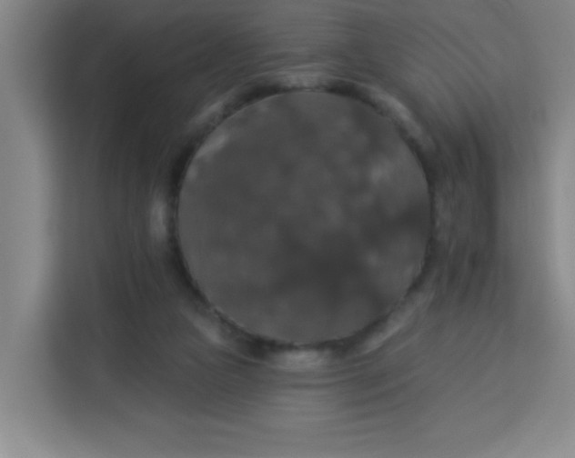 X0000113280161200910051047