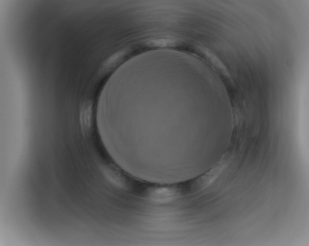 X0000113280163200910051047