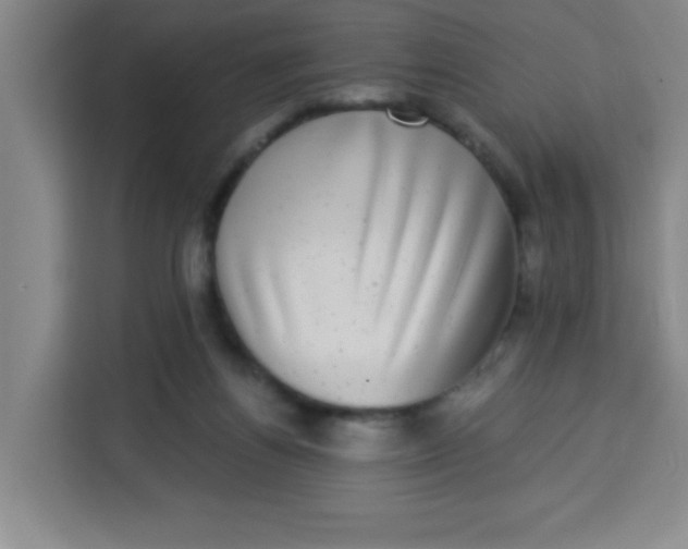 X0000113280164200910051047