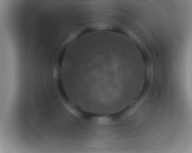 X0000113280165200910051047