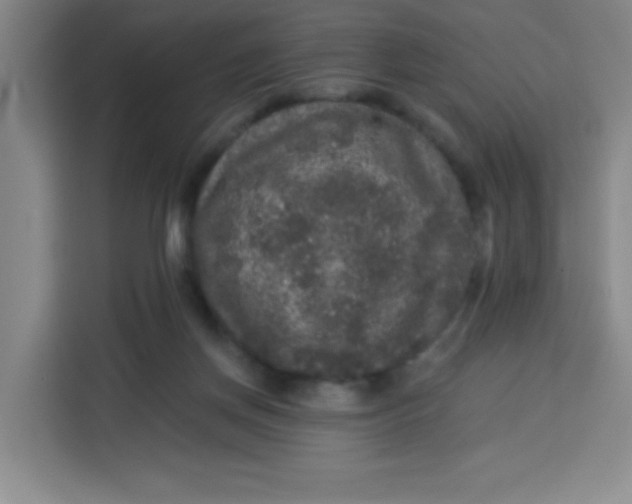 X0000113280166200910051047