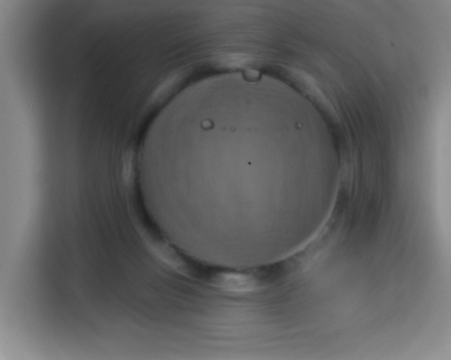 X0000113280167200910051047