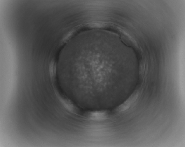 X0000113280168200910051047