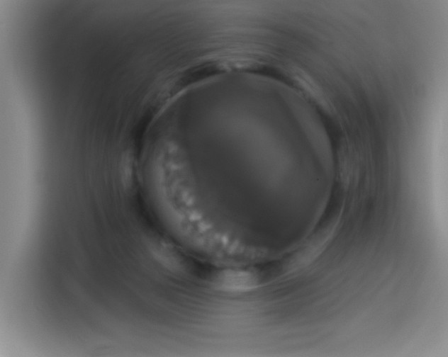 X0000113280169200910051047