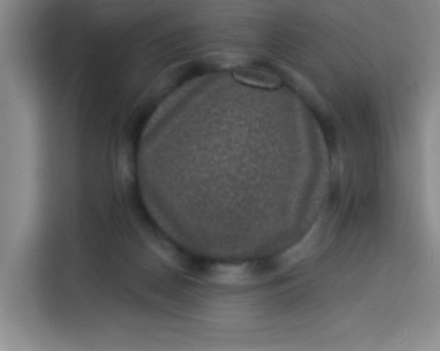 X0000113280170200910051047