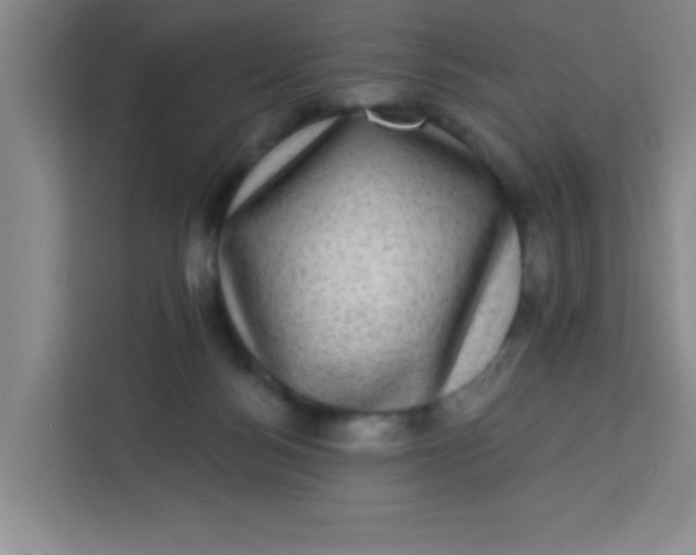 X0000113280172200910051047