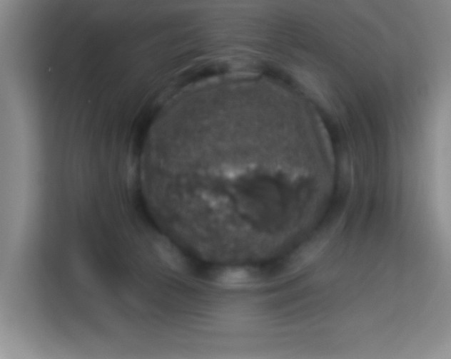 X0000113280177200910051047