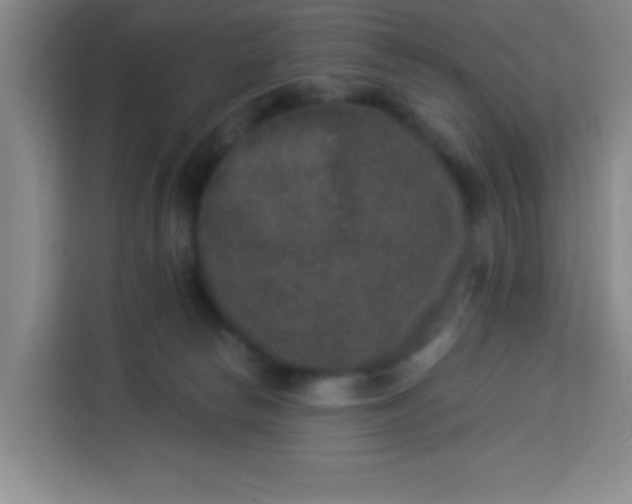 X0000113280178200910051047