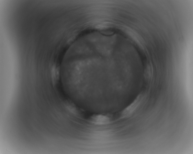 X0000113280180200910051047