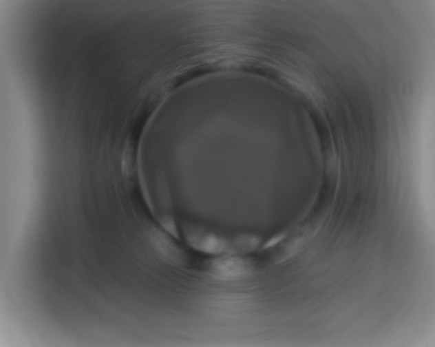 X0000113280181200910051047