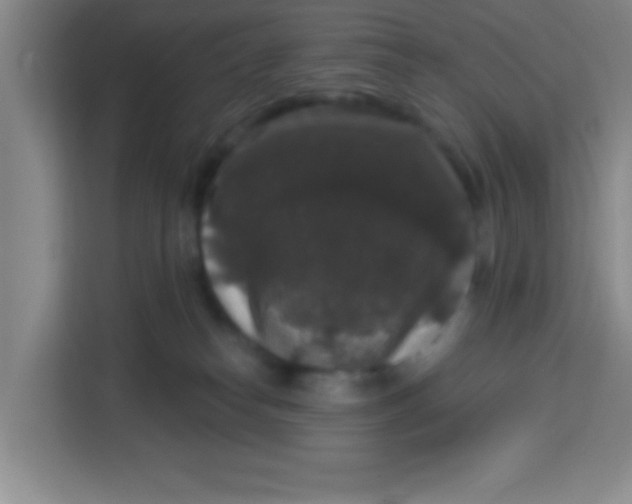 X0000113280182200910051048