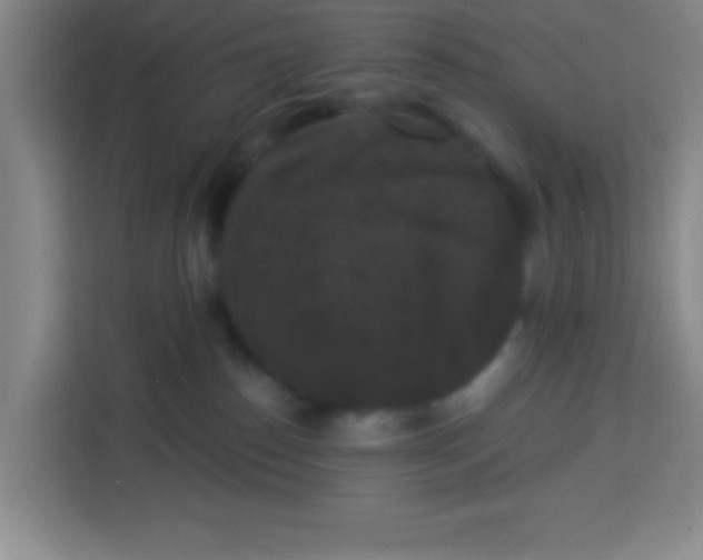 X0000113280186200910051048