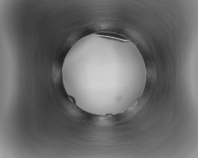 X0000113280188200910051048