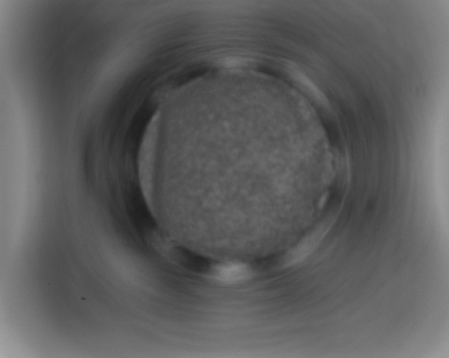 X0000113280189200910051048