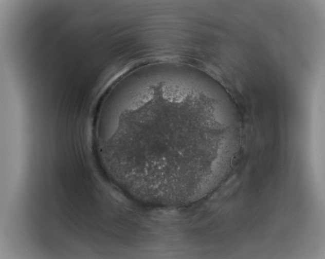 X0000113280194200910051047