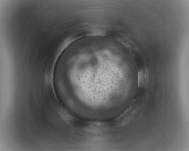 X0000113280195200910051047