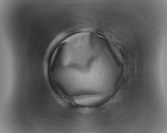 X0000113280197200910051047