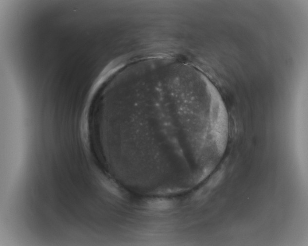 X0000113280198200910051047