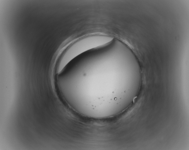 X0000113280199200910051047