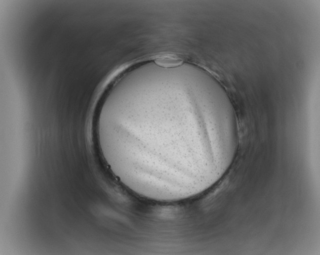 X0000113280200200910051047