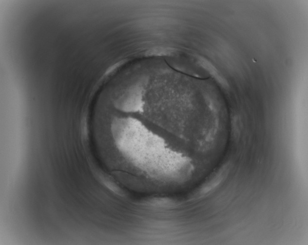 X0000113280203200910051047