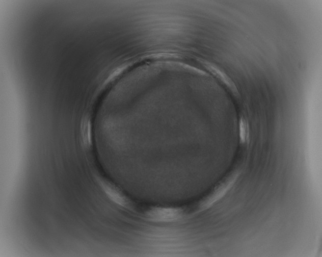 X0000113280205200910051047