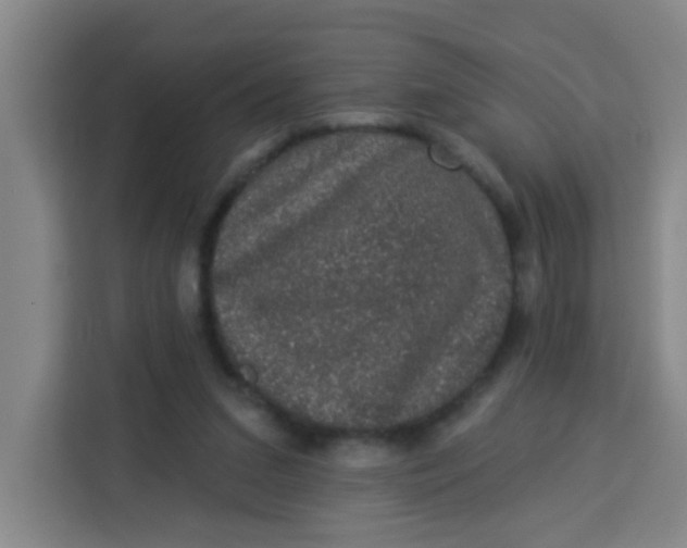 X0000113280207200910051047