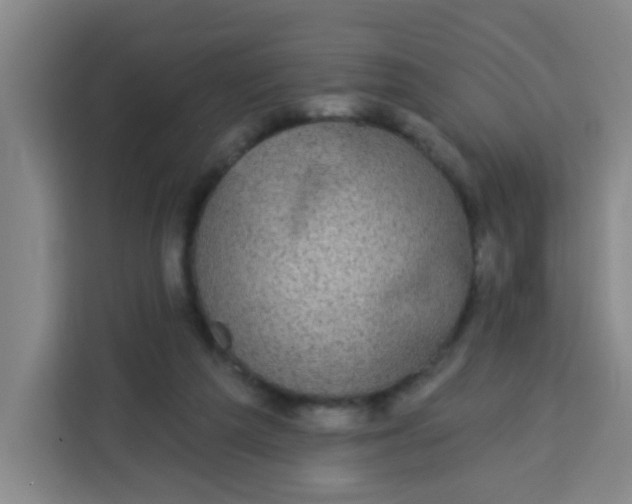 X0000113280209200910051047