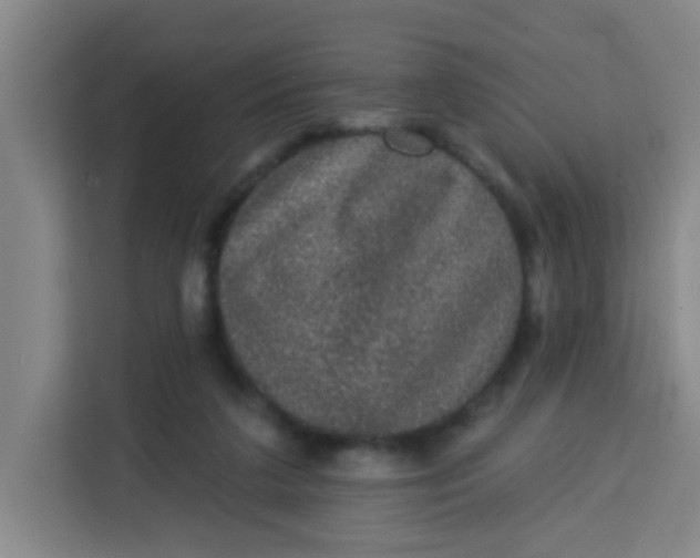 X0000113280211200910051047