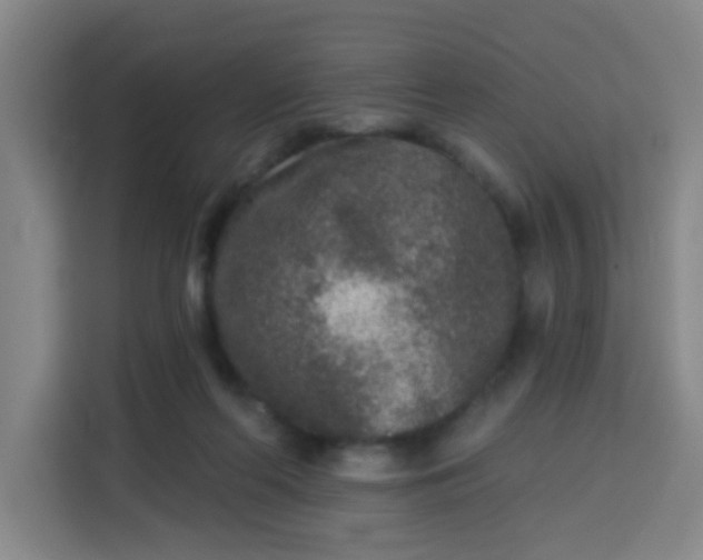 X0000113280214200910051047