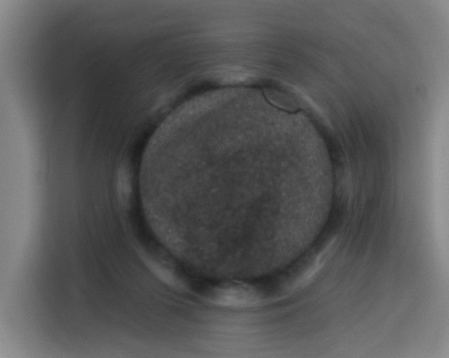 X0000113280215200910051047