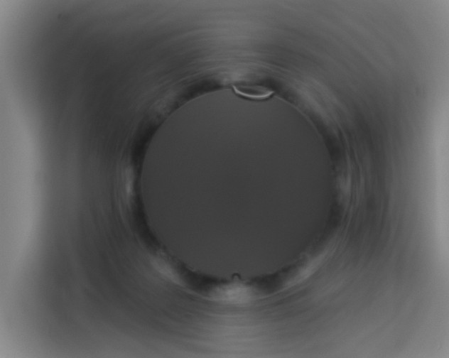 X0000113280219200910051047