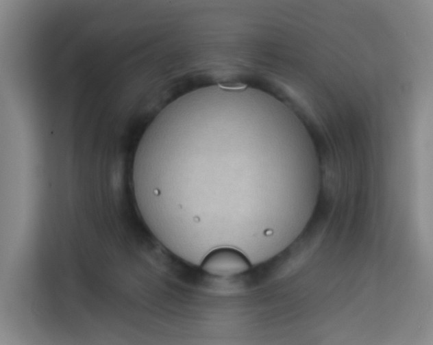 X0000113280221200910051047