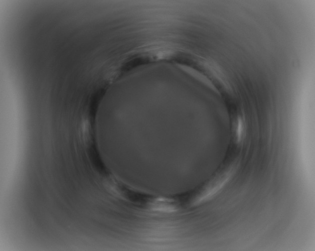 X0000113280222200910051047