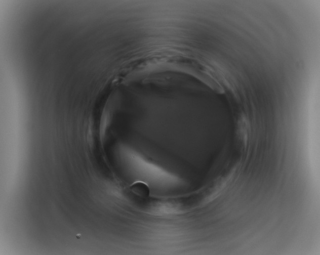 X0000113280223200910051047