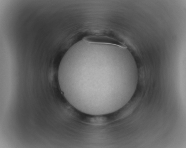 X0000113280225200910051047