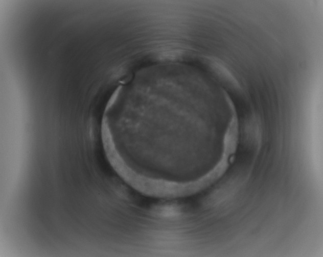 X0000113280228200910051047