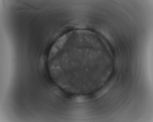 X0000113280229200910051047