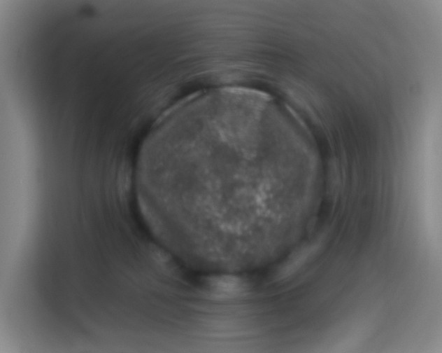 X0000113280230200910051047