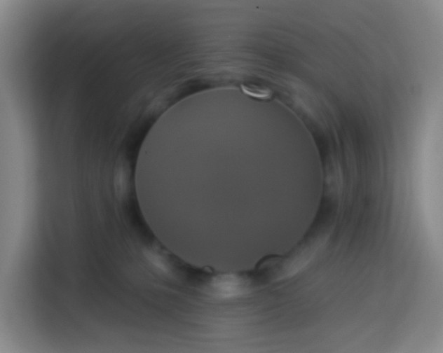 X0000113280231200910051047