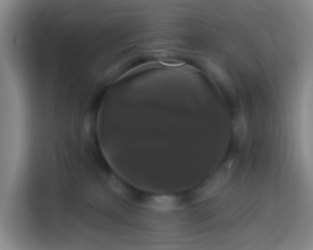 X0000113280233200910051046