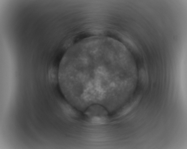 X0000113280234200910051046